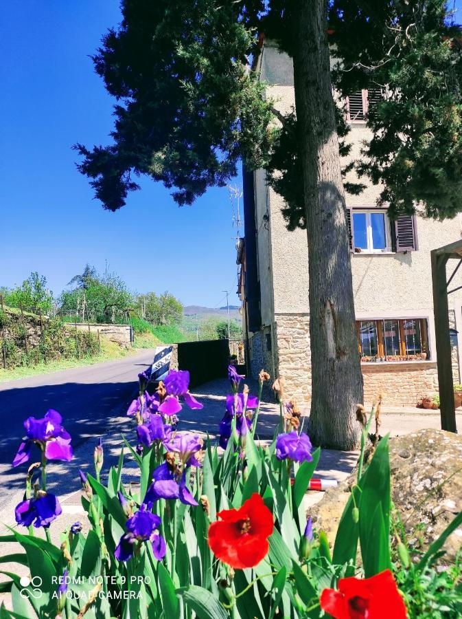 Villa Rohouse -Experience- Arezzo Exterior foto