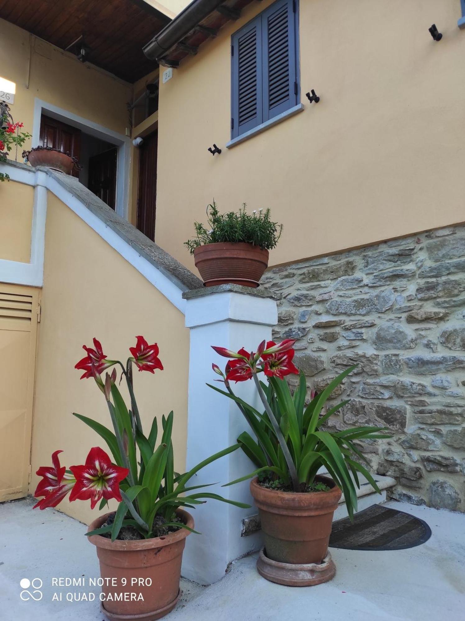 Villa Rohouse -Experience- Arezzo Exterior foto